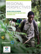 Regional Perspectives: Natural Capital Accounting Workshop and Next Steps