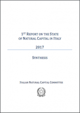 1st Report of the State of Natural Capital in Italy: Synthesis