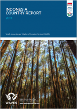 Indonesia Country Report 2017