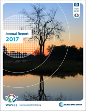 WAVES Annual Report 2017