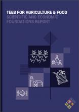 TEEB for Agriculture & Food: Scientific and Economic Foundations