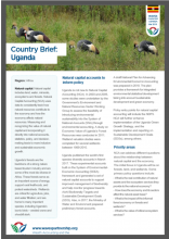 Country Brief: Uganda