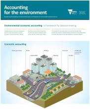 Accounting for the environment