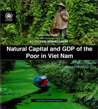 Natural Capital and GDP of the Poor in Viet Nam