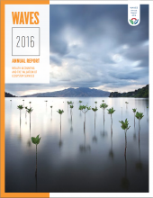 WAVES Annual Report 2016