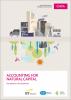 Accounting for Natural Capital: The elephant in the boardroom