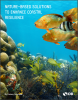 Nature-based Solutions to Enhance Coastal Resilience