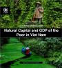 Natural Capital and GDP of the Poor in Viet Nam