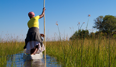 A lady rows a traditional boat in the Okavango delta in Botswana. - Photo: Shutterstock