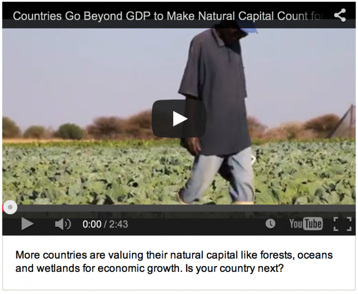 Countries Go Beyond GDP to Make Natural Capital Count for Development Video