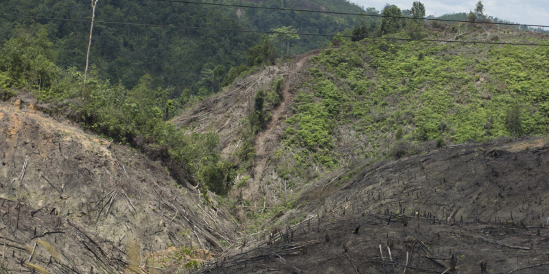 Forest fires in Colombia caused US$170 million in damage in 2015.