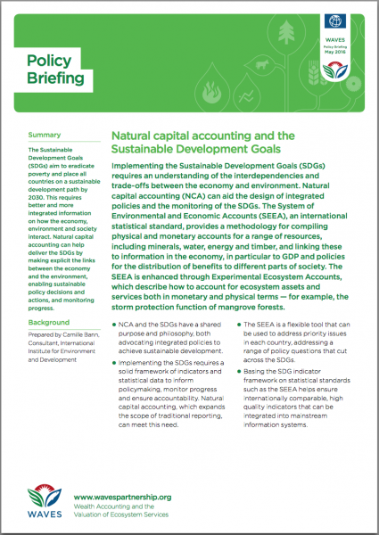 Natural Capital Accounting and the Sustainable Development Goals