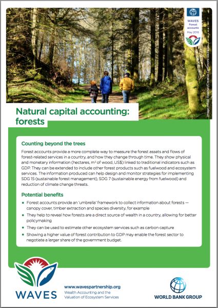 Natural Capital Accounting: Land