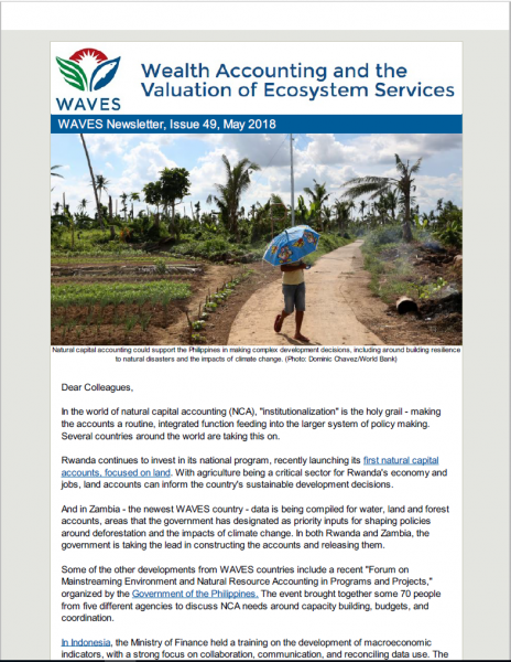 WAVES Newsletter Issue 4