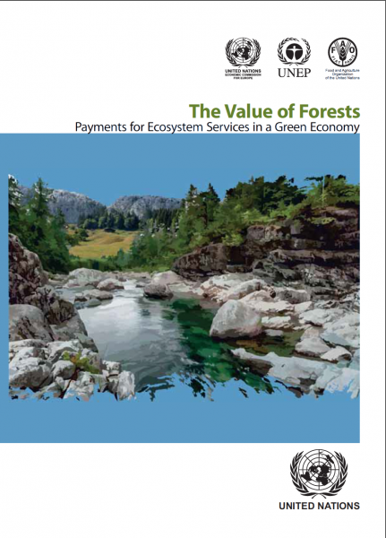 The Value of Forests: Payments for Ecosystem Services in a Green Economy