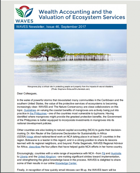 WAVES Newsletter Issue 4