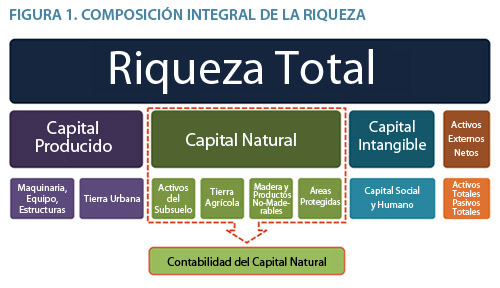 Comprehensive Wealth Composition