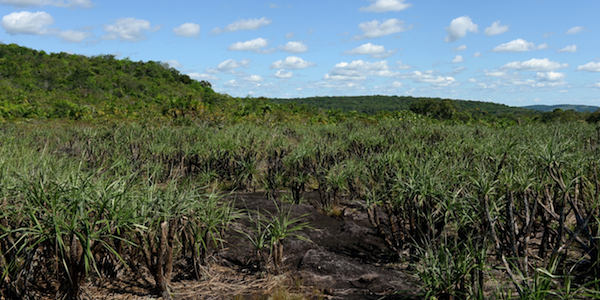 Biodiversity and Ecosystem Services Knowledge in the Colombian