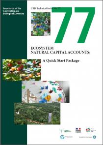 Technical Series No.77 - Ecosystem Natural Capital Accounts: A Quick Start Package