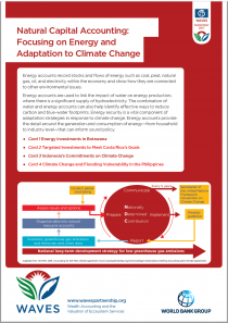 Natural Capital Accounting: Focusing on Energy and Adaptation to Climate Change