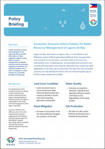 Policy Briefing: Ecosystem Accounts Inform Policies for Better Resource Management of Laguna de Bay