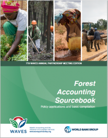 Forest Accounting Sourcebook: Policy applications and basic compilation