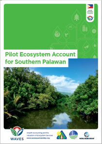 Pilot Ecosystem Account for Southern Palawan