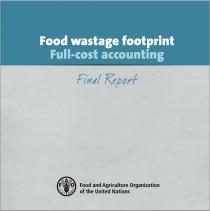 Food wastage footprint: Full-cost accounting