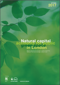 Natural Capital Accounts for Public Green Space in London