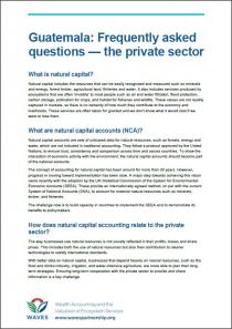 Guatemala: Frequently Asked Questions - The Private Sector