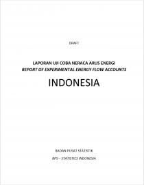 Report of experimental energy flow accounts - Indonesia