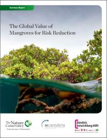 The Global Value of Mangroves for Risk Reduction: Summary Report