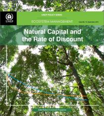 Natural Capital and the Rate of Discount