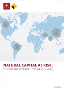 Natural Capital at Risk: The top 100 externalities of business