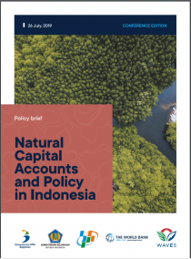 Natural Capital Accounts and Policy in Indonesia