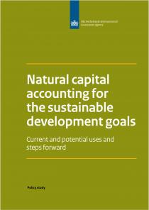 Natural capital accounting for the sustainable development goals: Current and potential uses and steps forward
