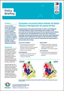 Ecosystem Accounts Inform Policies for Better Resource Management of Laguna de Bay