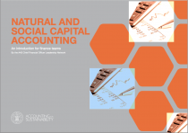 Natural and social capital accounting: an introduction for finance teams