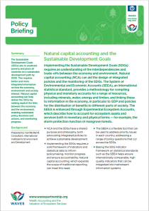 Natural capital accounting and the Sustainable Development Goals