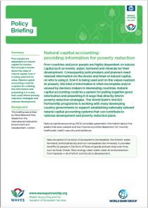 Natural capital accounting: providing information for poverty reduction