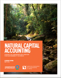 Natural capital accounting across the Gaborone Declaration for Sustainability in Africa: A desktop scoping