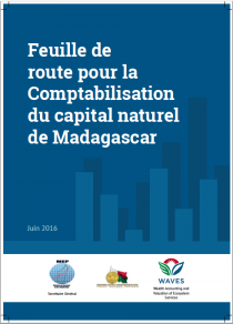 Feuille de route pour la Comptabilisation du capital naturel de Madagascar