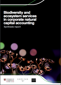Biodiversity and ecosystem services in corporate natural capital accounting: Synthesis Report