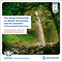 WAVES: Valuing Natural Capital for Sustainable Development