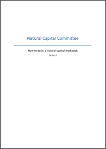 How to do it: A natural capital workbook