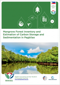 Mangrove Forest Inventory and Estimation of Carbon Storage and Sedimentation in Pagbilao 