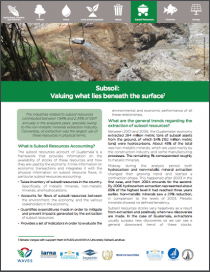 Subsoil: Valuing what lies beneath the surface