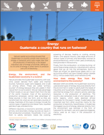 Energy: Guatemala - a country that runs on fuelwood
