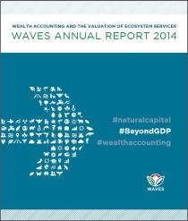 WAVES Annual Report 2014