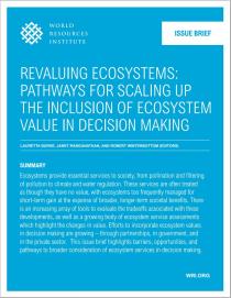 Revaluing Ecosystems